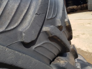 Taurus Front Tyre